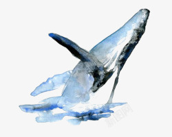 水彩手绘童话海洋鲸鱼卡通装饰PS透明高清28水彩手素材