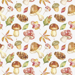 秋季卡通水彩动物松鼠刺猬印刷可爱装饰图案透明设计3素材