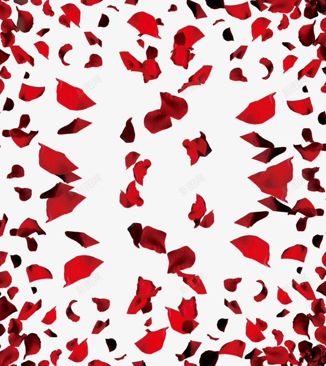 真实飘落飘洒散落粉红色玫瑰花瓣高清免扣163真实飘png免抠素材_88icon https://88icon.com 真实 飘落 飘洒 散落 粉红色 玫瑰 玫瑰花 花瓣 高清 免扣