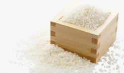 大米米素材