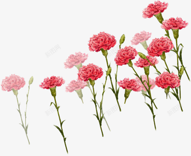 免扣康乃馨母亲节透明底活动氛围装饰物点缀物科技感发png免抠素材_88icon https://88icon.com 免扣 康乃馨 母亲节 透明 活动 氛围 装饰物 点缀 科技 感发