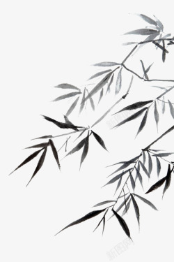 水墨竹林中式古典竹子竹叶透明素材