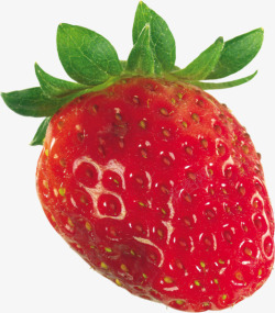 草莓草莓水果食物美食水果8蔬菜水果蔬菜素材