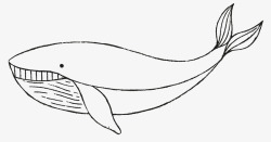 手绘水彩卡通海洋生物EPS矢量免扣图案120手绘水素材