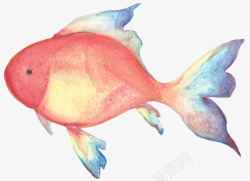 手绘水彩卡通海洋生物EPS矢量免扣图案148手绘水素材