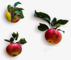 苹果切开的苹果苹果高清苹果蔬果五谷液体素材