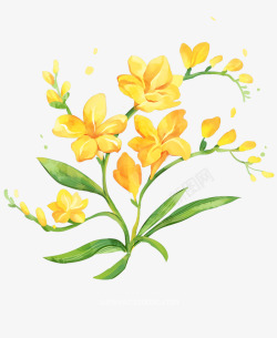 手绘黄色鲜花树叶D6漫画素材