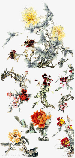 中国古风水墨花手绘水彩植物花卉装饰透明ps224中素材