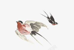 中国古风水墨水彩手绘燕子免扣透明PS设计4中国古风素材