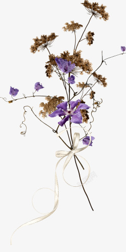 的旅程鲜花花朵装饰花卉图透明紫色花薰衣草植物素材