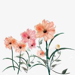 中国古风水墨花手绘水彩植物花卉装饰透明ps330中素材
