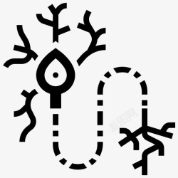 树突神经元细胞树突高清图片