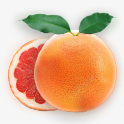 葡萄柚收集水果坚果素材