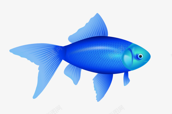 优质原料蓝鱼更多优质采集尽在系列动物宠物系列动物宠图标