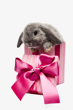 免扣兔子礼盒礼品包装粉色丝感透明底活动氛围装饰物点素材