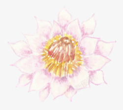 唯美紫色婚礼请柬海报装饰花卉字母透明图案37唯美紫素材