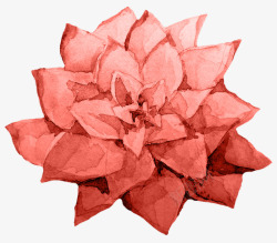 唯美红色珊瑚花卉婚礼请柬装饰模板图案手账24唯美红素材