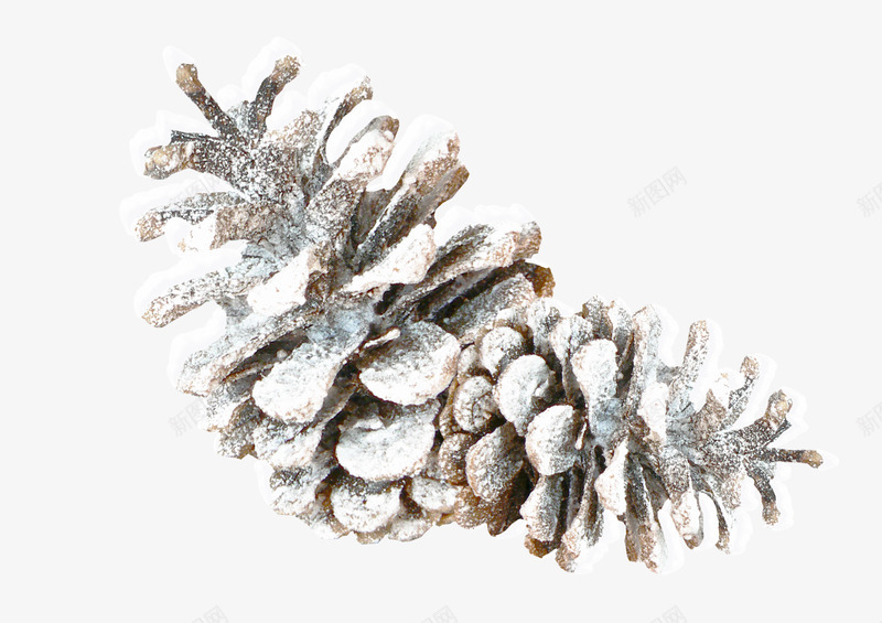 白雪松果免扣透明KillF借我碎片png免抠素材_88icon https://88icon.com 白雪 松果 免扣 透明 KillF 借我 碎片