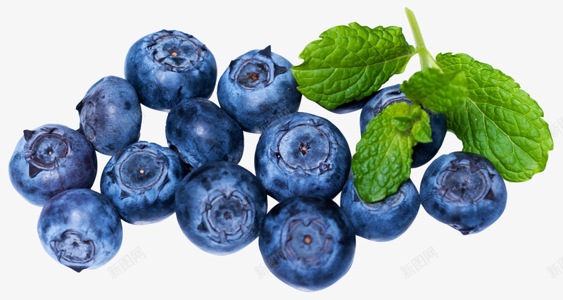 蓝莓熊果苷蓝莓蓝莓熊果苷png免抠素材_88icon https://88icon.com 蓝莓 熊果苷