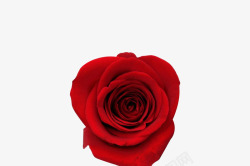 红色玫瑰花红色页面活动首页banner海报活动首页素材