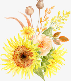 水彩秋季向日葵玫瑰雏菊花卉图案图S植物花草素材