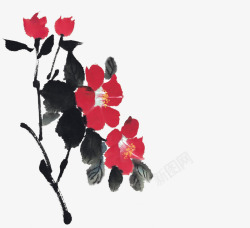 中国古风水墨花手绘水彩植物花卉装饰透明ps23中国素材