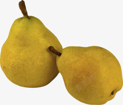 梨子收集水果坚果素材