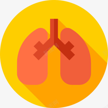大病医疗图标肺医疗服务12平坦图标