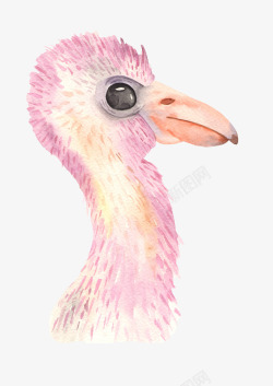 水彩手绘卡通可爱墨西哥动物卡片装饰印刷图案设计13素材