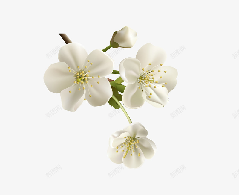 免扣白色樱花花瓣花束花了解一下png免抠素材_88icon https://88icon.com 免扣 白色 樱花 花瓣 花束 花了 了解 一下