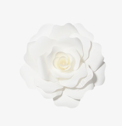 白色花玫瑰花素材