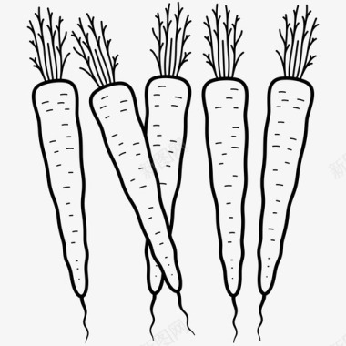 胡萝卜品种块根蔬菜图标