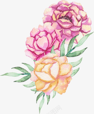 粉色牡丹花卉图专辑Vol011粉色牡丹图标
