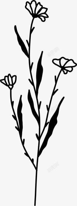 花卉植物插图图免扣绿植高清素材