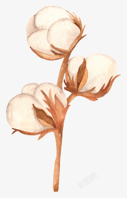 手绘水彩木棉花花卉植物透明免扣图案手账PS7手绘水素材