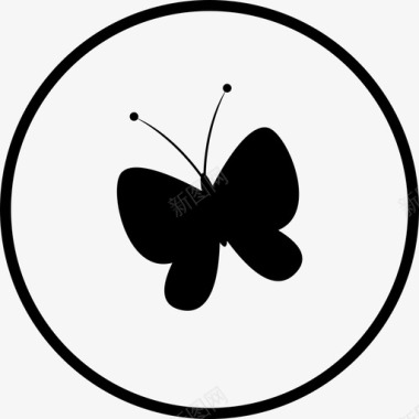 档案医美信息图标