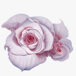 小清新手绘矢量粉紫色玫瑰花特写素材