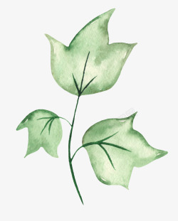 手绘水彩木棉花花卉植物透明免扣图案手账PS28手绘素材