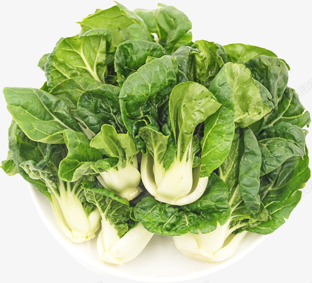 一盘新鲜的奶白菜png免抠素材_88icon https://88icon.com 奶白菜 生鲜 蔬菜 蔬菜堆积 青菜