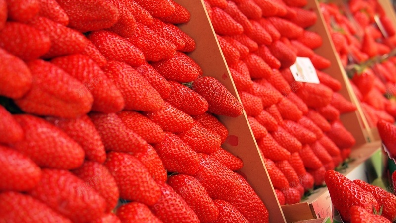 草莓自然水果食物美味jpg设计背景_88icon https://88icon.com 自然 水果 食物 美味