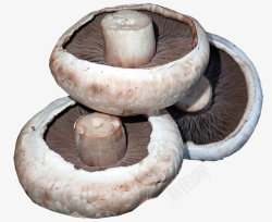 蘑菇自然蔬菜食物美味素材