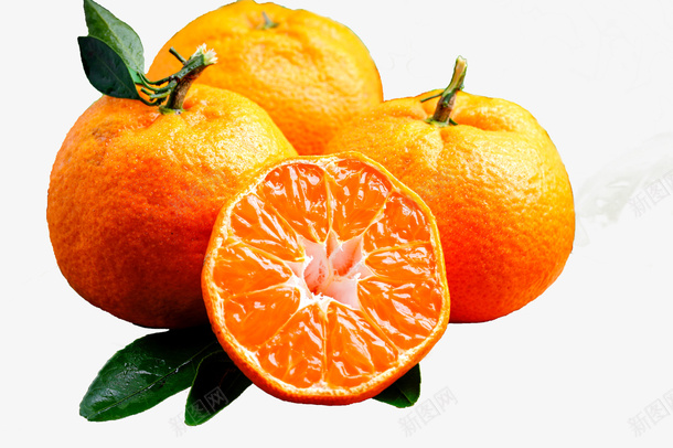 柑橘免抠元素png免抠素材_88icon https://88icon.com 免抠 柑橘 桔子 橘子 水果