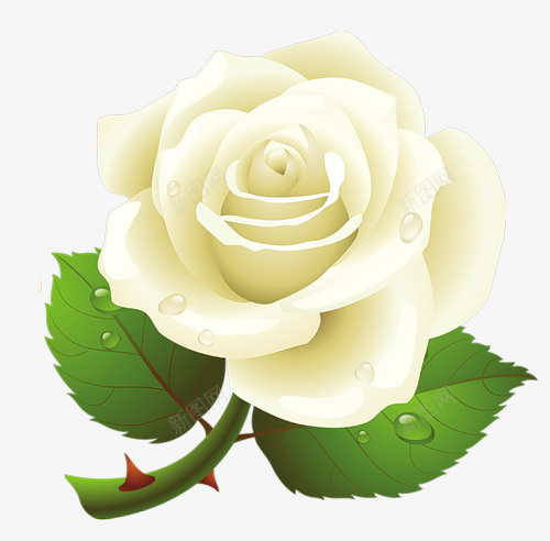 手绘白玫瑰PNG图像png免抠素材_88icon https://88icon.com 玫瑰 花朵 小清晰 植物 花朵装饰