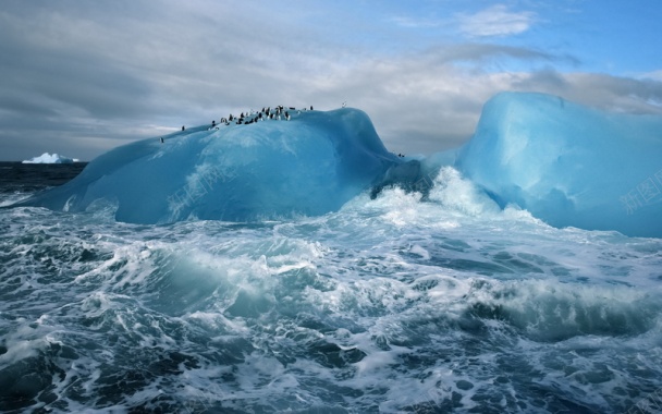 冰川海洋企鹅背景