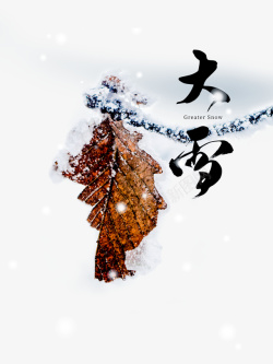 冬天树叶冬天大雪树叶树枝雪花二十四节气高清图片