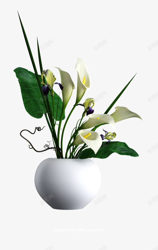 长得像郁金香的不知道什么名字的花png免抠素材_88icon https://88icon.com 郁金香吧 绿色 植物 装饰品