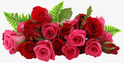手捧鲜花的女人靓丽的玫瑰花高清图片