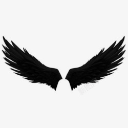 黑羽毛黑天使翅膀万圣节黑色翅膀高清图片