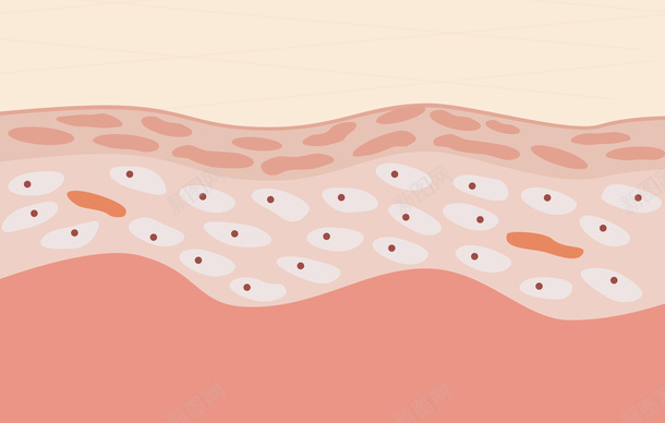 皮肤纹理结构png免抠素材_88icon https://88icon.com 皮肤 纹理 结构 矢量