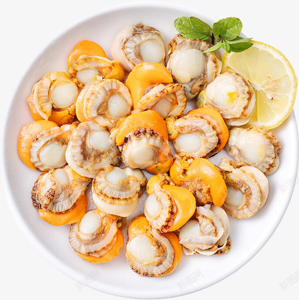 一盘新鲜的扇贝肉特写png免抠素材_88icon https://88icon.com 扇贝 新鲜的扇贝 水产 海鲜 生蚝 生鲜